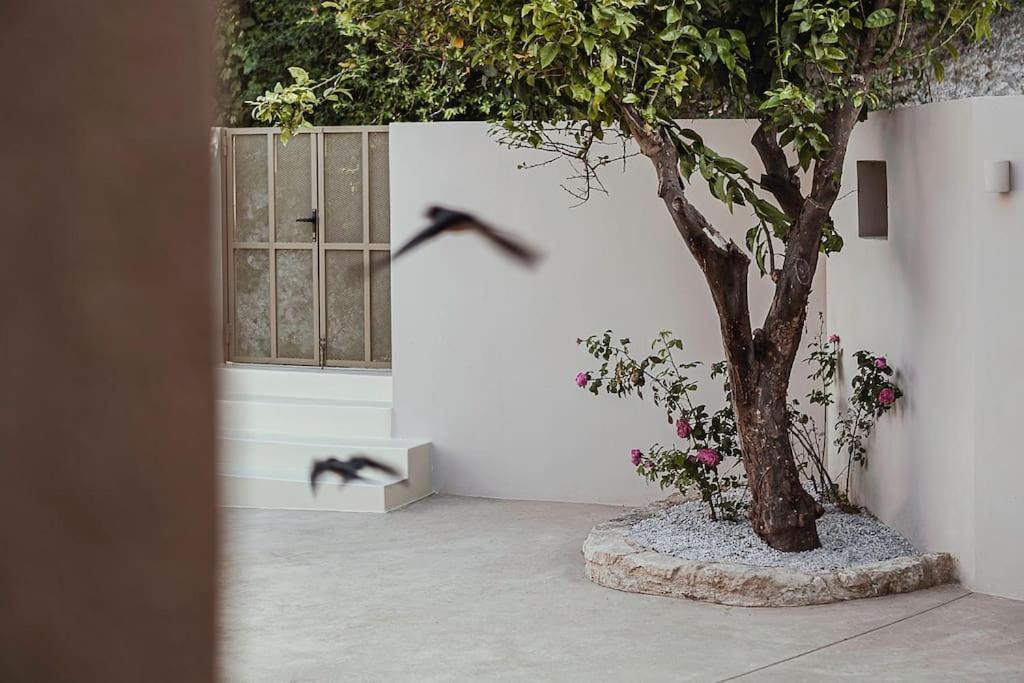 Agia Fotini Lotusland, A Relaxing House At Amari Rethymno别墅 外观 照片